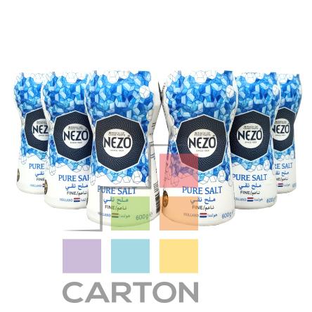 NEZO PURE SALT 6*600 GM